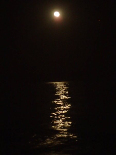 Moonrise on the waters
