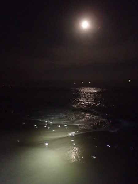 Grunions and the moon